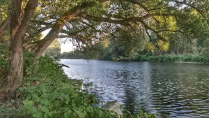 Wie wir zum Ybbshäuschen kamen