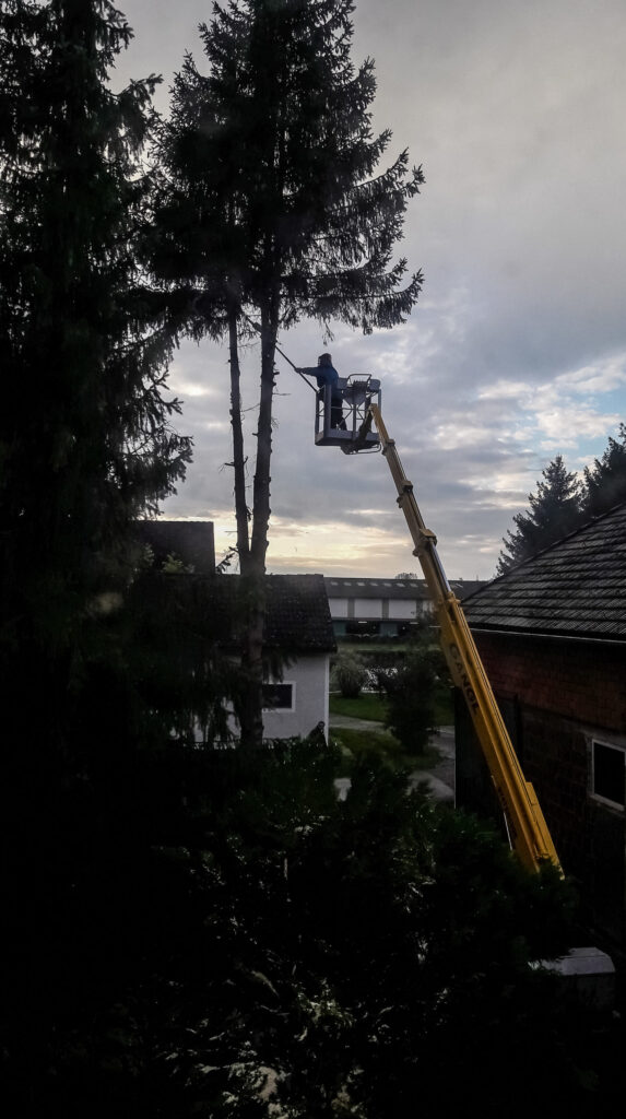 Baum fällen mit Hebebühne