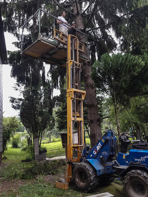 Baum entasten mit der Hebebühne